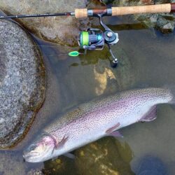 ばらしてばかり ～天竜川ルアーフライテンカラ専用区～